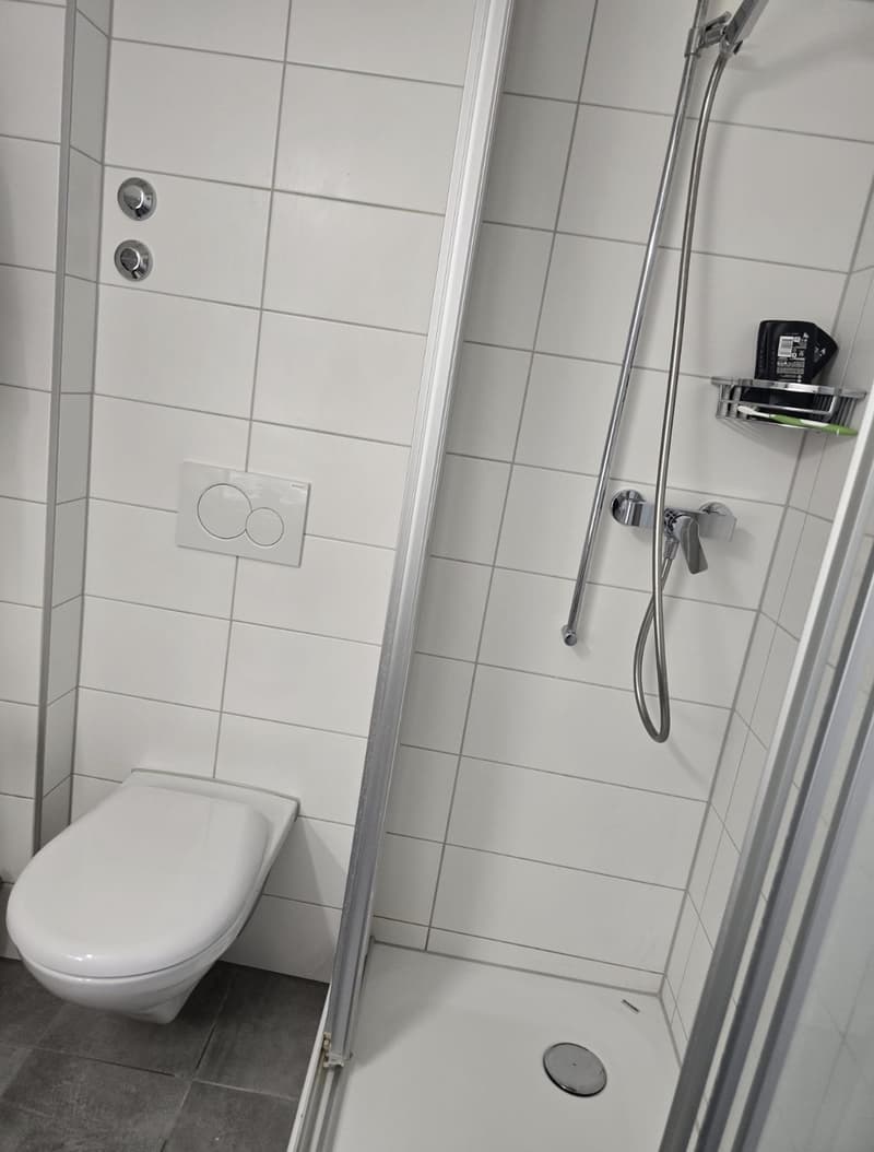 1.5-Zimmer-Wohnung in Thun befristete Untermiete (5)