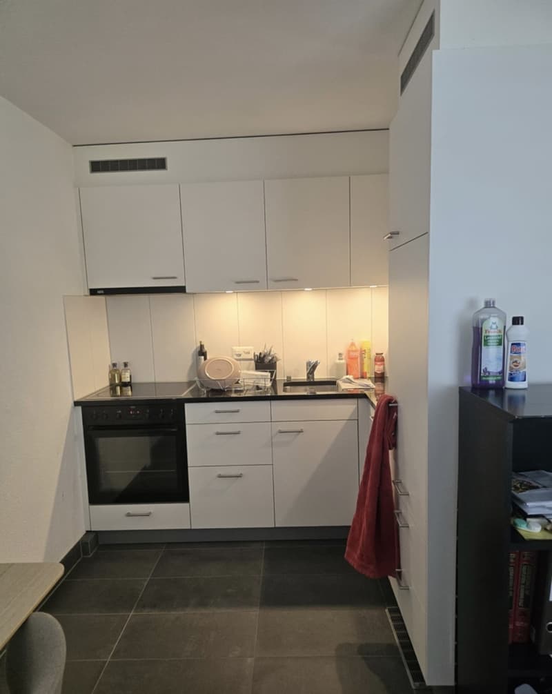 1.5-Zimmer-Wohnung in Thun befristete Untermiete (3)