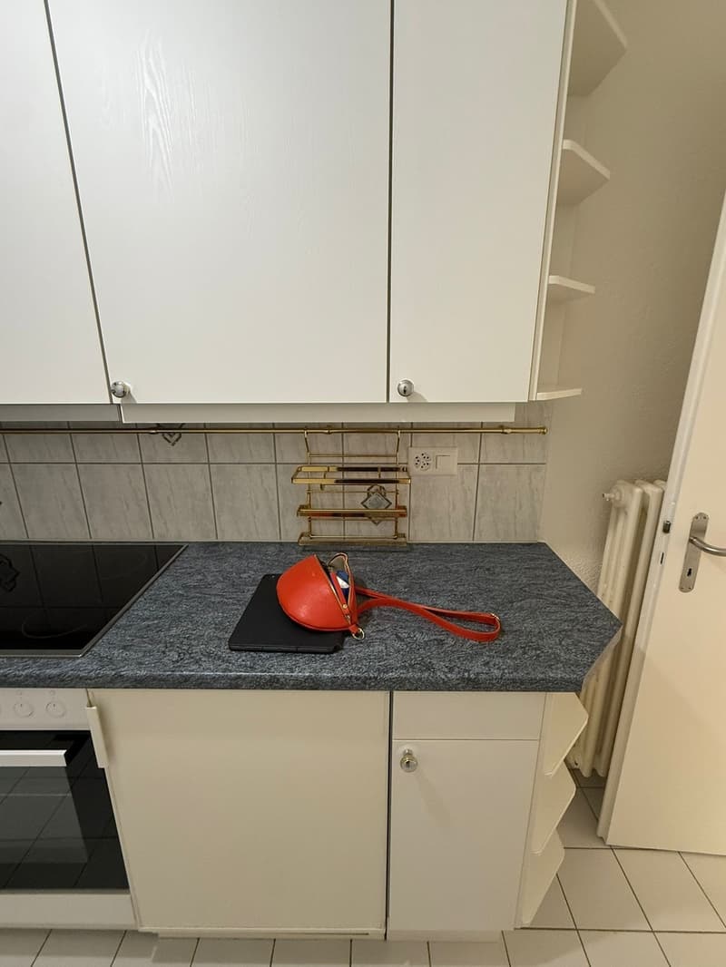 Appartement 1.5 pièce avec vue sur le lac Lausanne / Montchoisi (13)