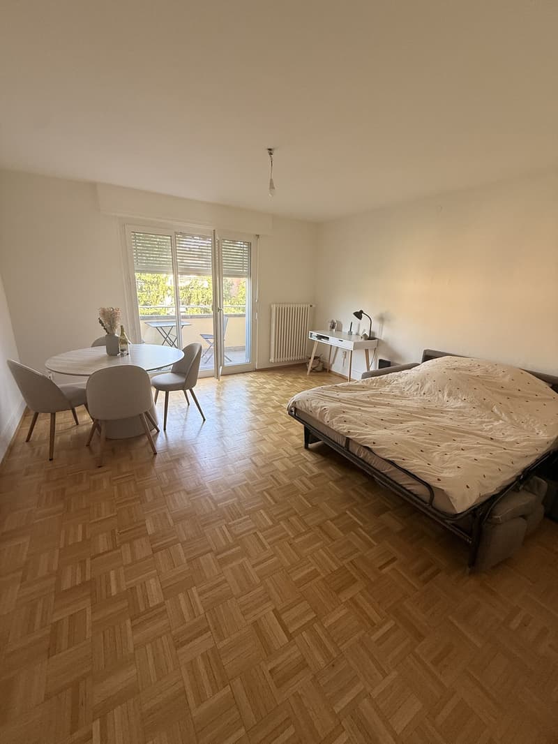 Appartement 1.5 pièce avec vue sur le lac Lausanne / Montchoisi (3)