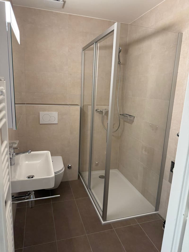 Appartement 1.5 pièce avec vue sur le lac Lausanne / Montchoisi (6)