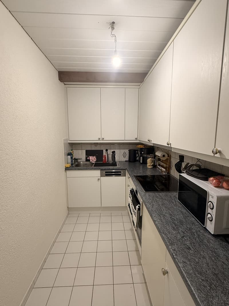 Appartement 1.5 pièce avec vue sur le lac Lausanne / Montchoisi (12)