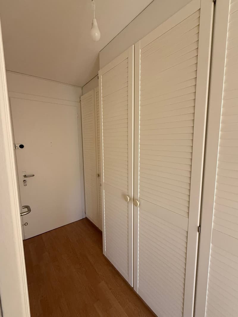 Appartement 1.5 pièce avec vue sur le lac Lausanne / Montchoisi (9)