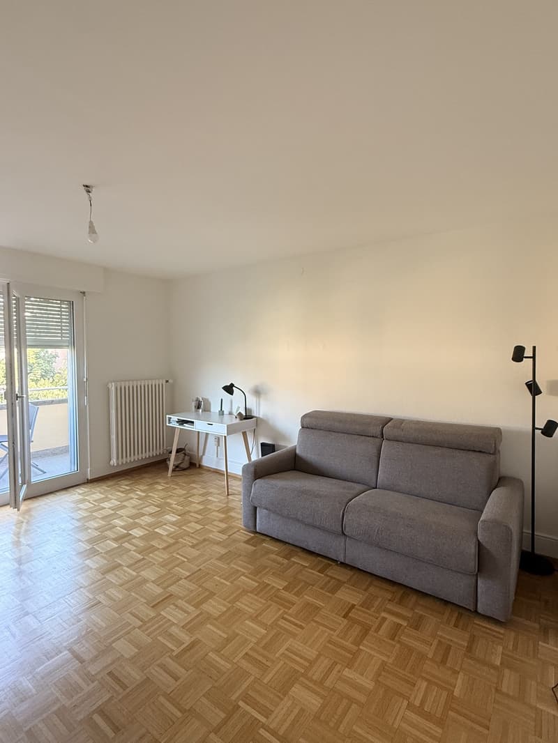 Appartement 1.5 pièce avec vue sur le lac Lausanne / Montchoisi (4)