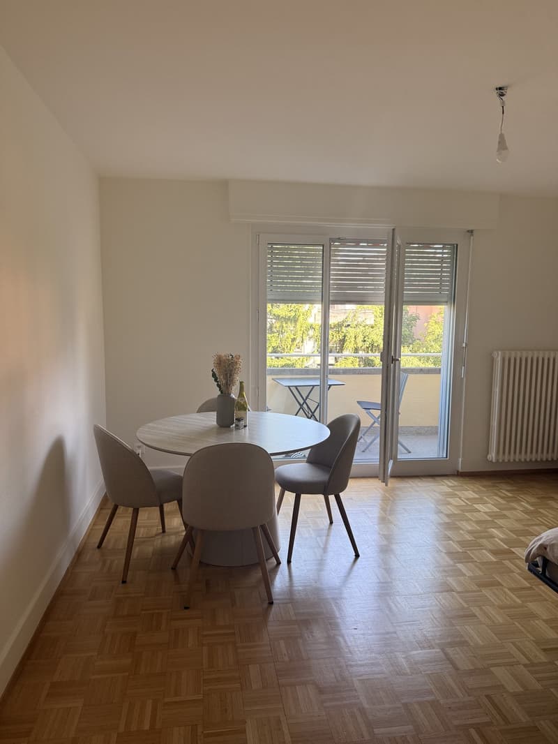 Appartement 1.5 pièce avec vue sur le lac Lausanne / Montchoisi (5)