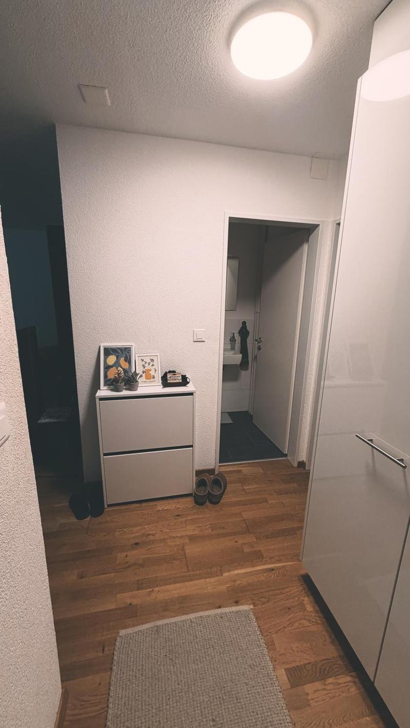 Grosszügige 2.5-Zimmer-Whg in Altendorf SZ (4)