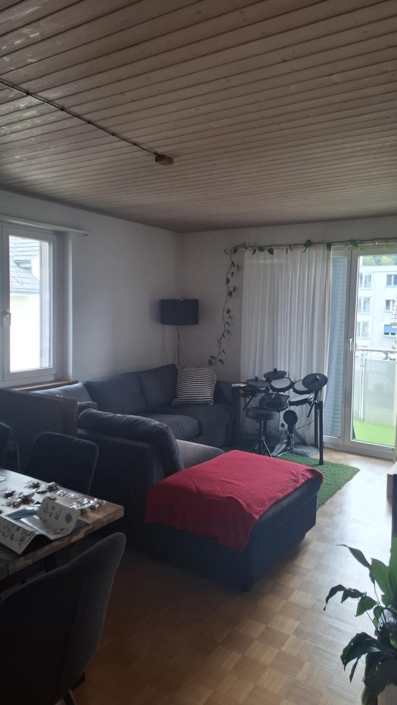 Gemütliche 3 1/2 Zimmer Wohnung in Kollbrunn (6)