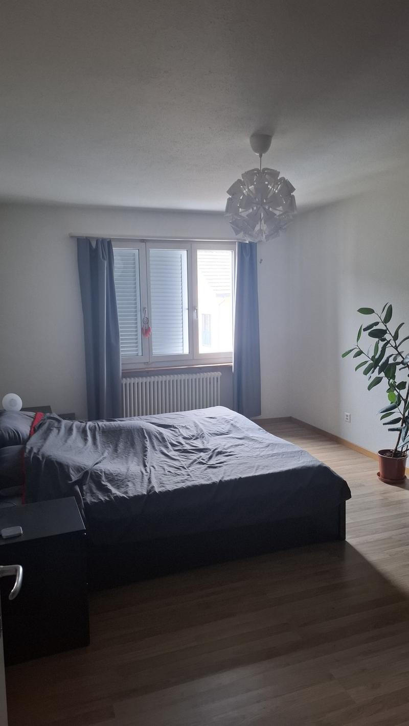 Gemütliche 3 1/2 Zimmer Wohnung in Kollbrunn (3)