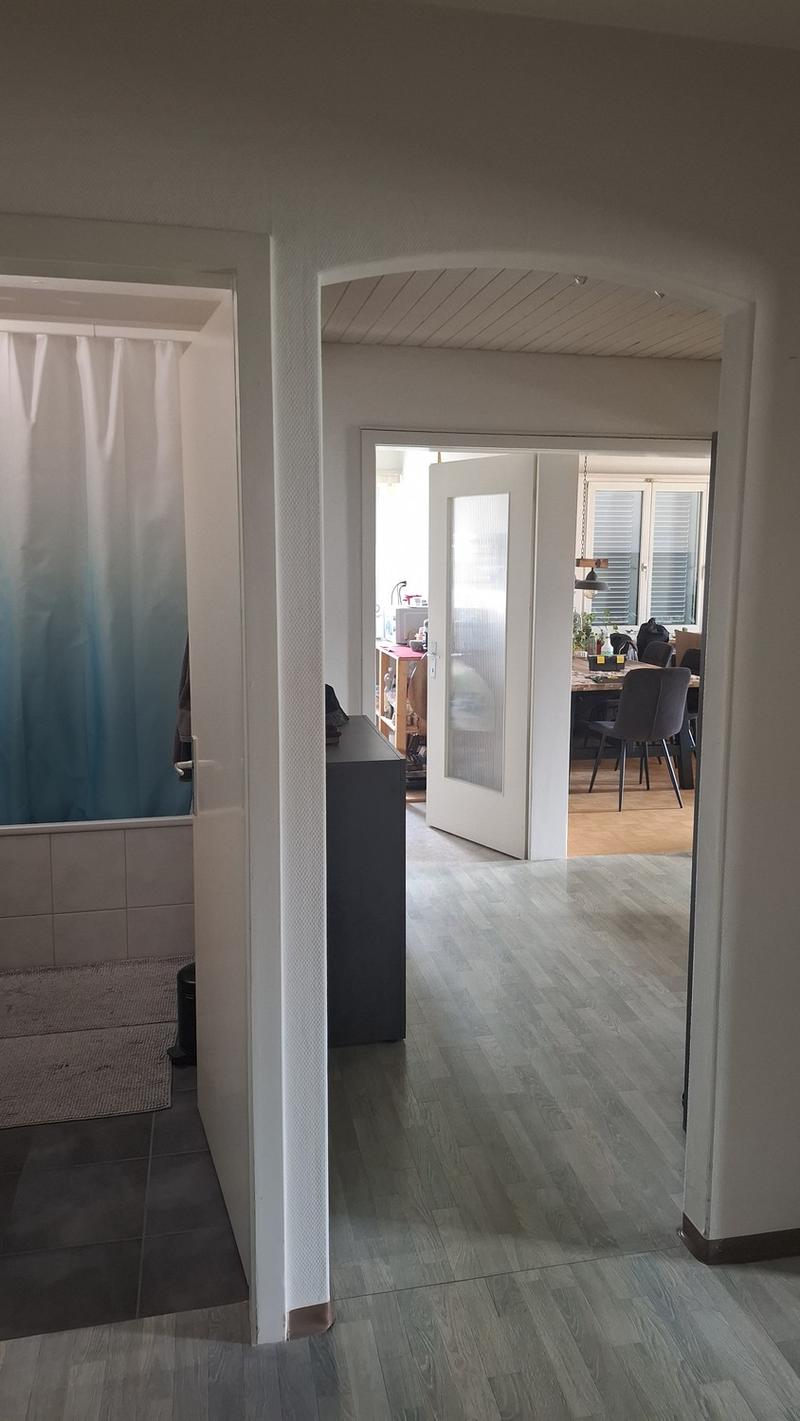 Gemütliche 3 1/2 Zimmer Wohnung in Kollbrunn (2)