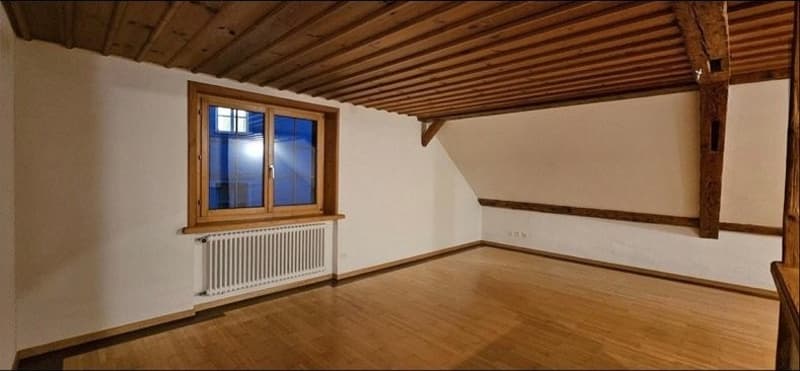 3.5 Zimmer wohnung (8)