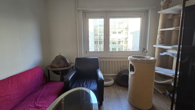 Bright room in Oerlikon (5)