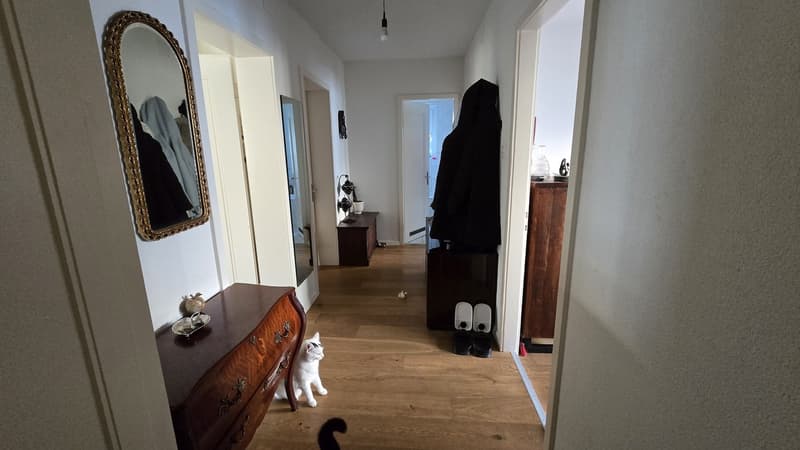 Bright room in Oerlikon (3)
