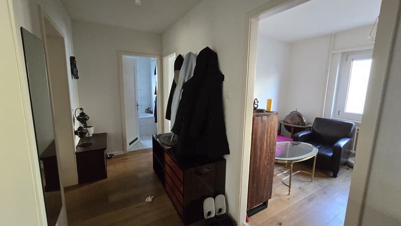 Bright room in Oerlikon (4)