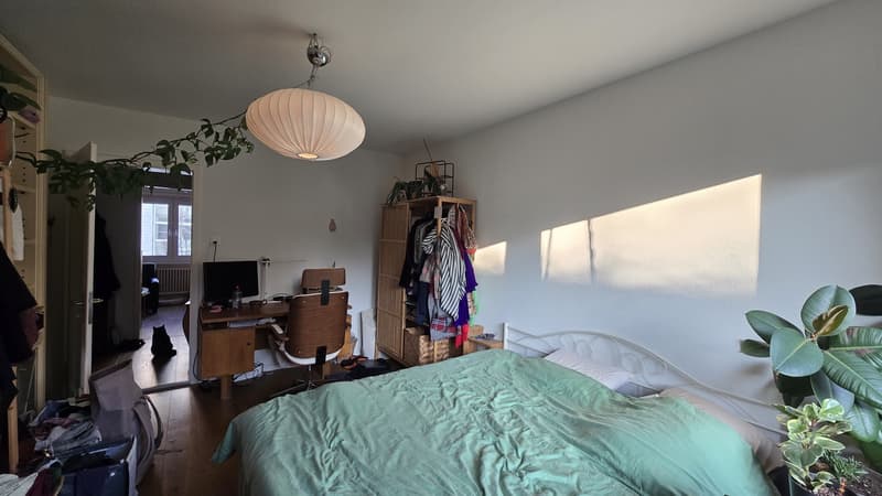 Bright room in Oerlikon (2)
