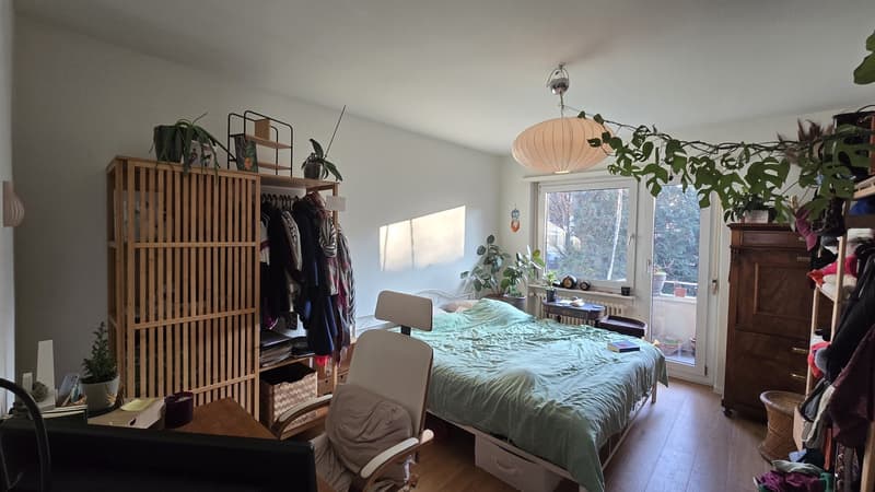 Bright room in Oerlikon (1)