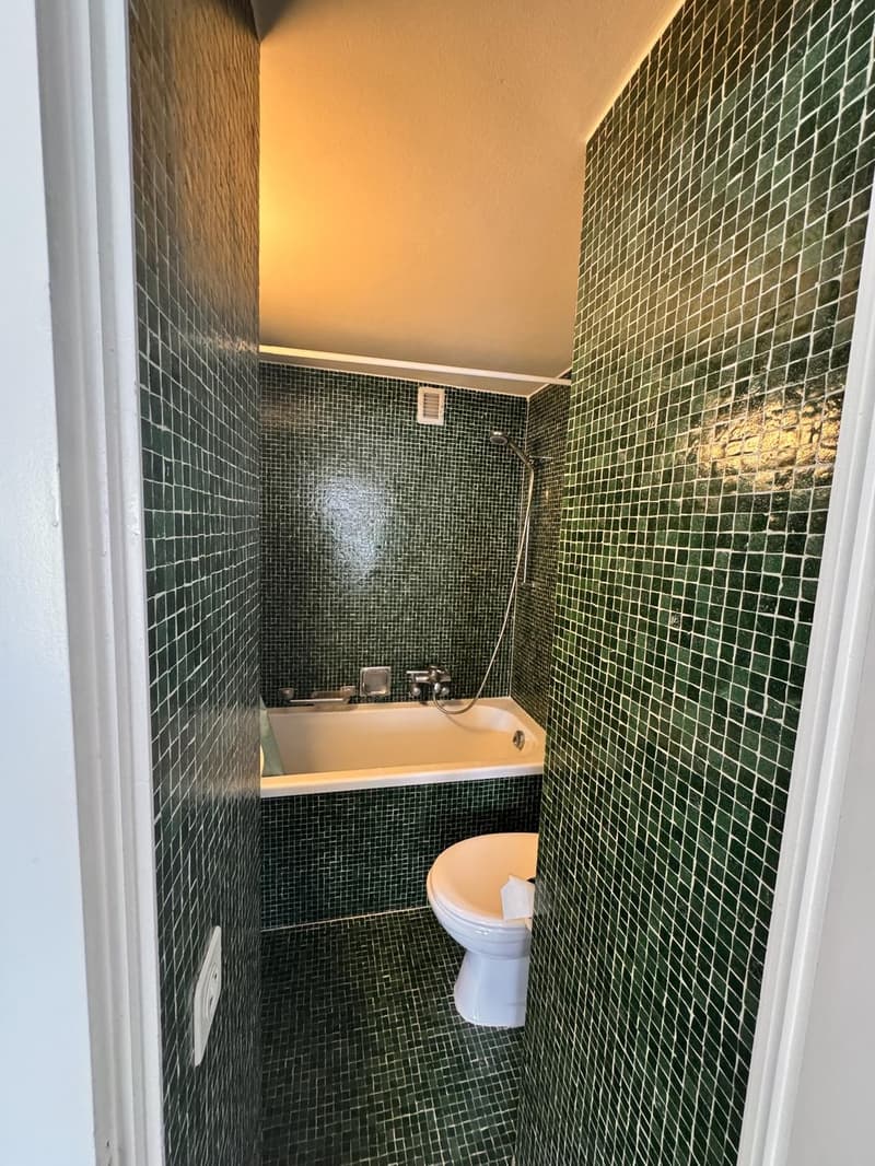 for 3 Month to rent Nov. 2026 bis Jan. 2027) to rent, charmful full furnished cozy 1-2 Pers. Flat upstair in Kreis 6 |Charmante möblierte 1½-Zimmer-Wohnung zur Untermiete in Zürich Kreis 6 (Nov. 2026 bis Jan. 2027) (9)