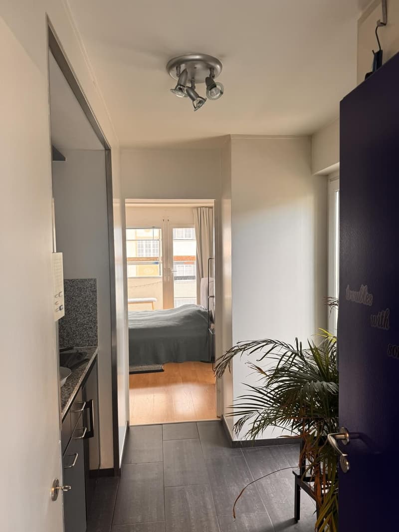 for 3 Month to rent Nov. 2026 bis Jan. 2027) to rent, charmful full furnished cozy 1-2 Pers. Flat upstair in Kreis 6 |Charmante möblierte 1½-Zimmer-Wohnung zur Untermiete in Zürich Kreis 6 (Nov. 2026 bis Jan. 2027) (2)