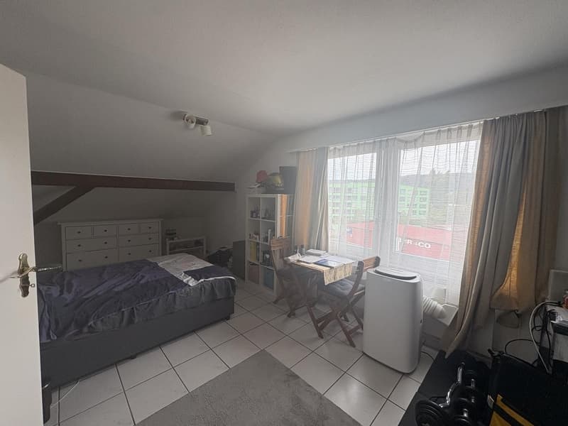 Helle 2,5 Dachwohnung an der Überlandstrasse 11, 8953 Dietikon (2)