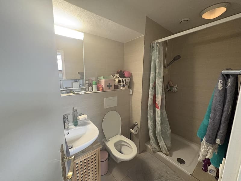Helle 2,5 Dachwohnung an der Überlandstrasse 11, 8953 Dietikon (4)