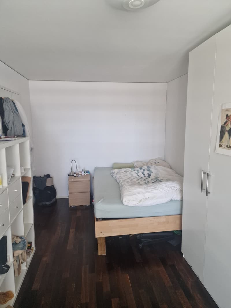 WG-Zimmer ab sofort bis Dezember / Januar zur Untermiete (8)