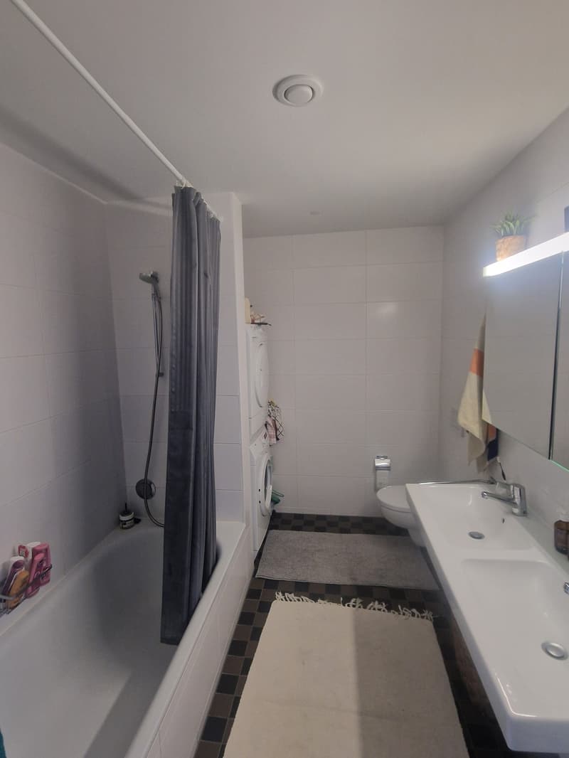 WG-Zimmer ab sofort bis Dezember / Januar zur Untermiete (4)