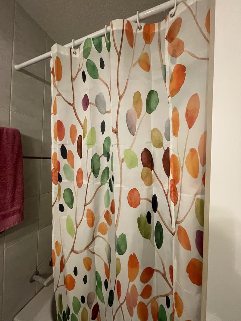1 WG-Zimmer in Bern Verfügbar (5)