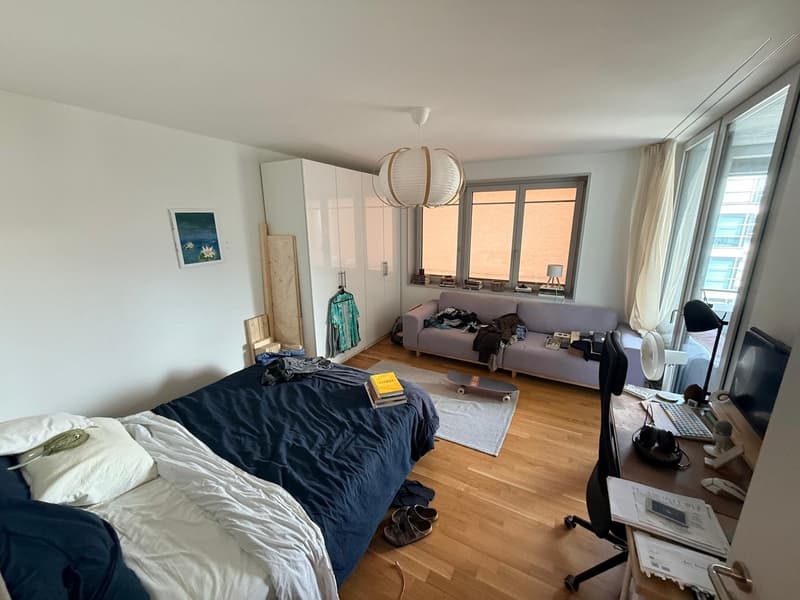 * Moderne 4.5-Zimmer-Wohnung an der Buckhauserstrasse in Zürich-Altstetten (13)