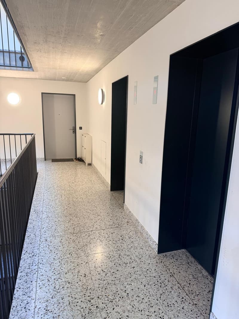 * Moderne 4.5-Zimmer-Wohnung an der Buckhauserstrasse in Zürich-Altstetten (8)