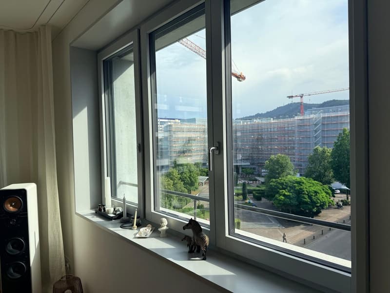 * Moderne 4.5-Zimmer-Wohnung an der Buckhauserstrasse in Zürich-Altstetten (5)
