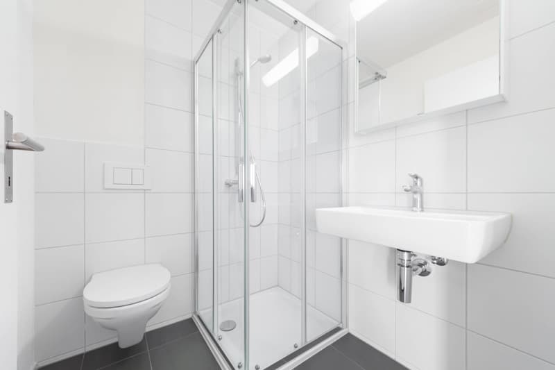 Schöne 4.5 Zimmer Wohnung an zentraler Lage (6)