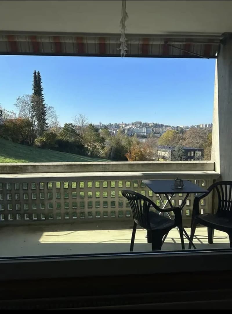 Appartement à Fribourg 34m2 (5)