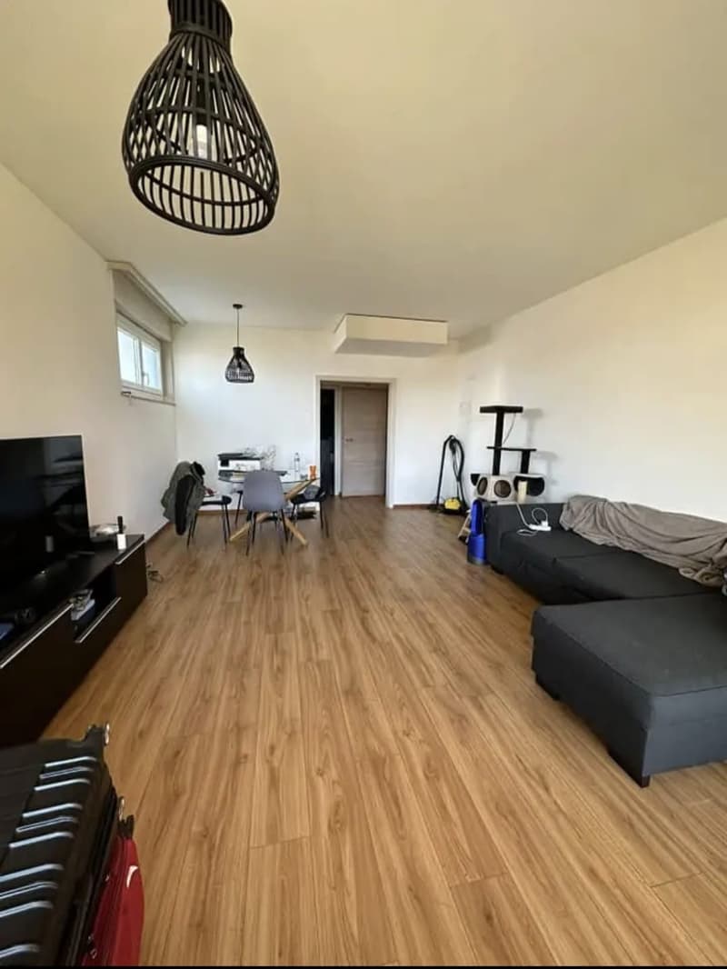 Appartement à Fribourg 34m2 (2)