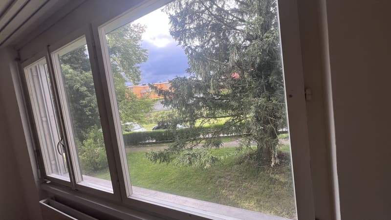 1 1/2 Zimmer Wohbung Nachmieter gesucht (2)