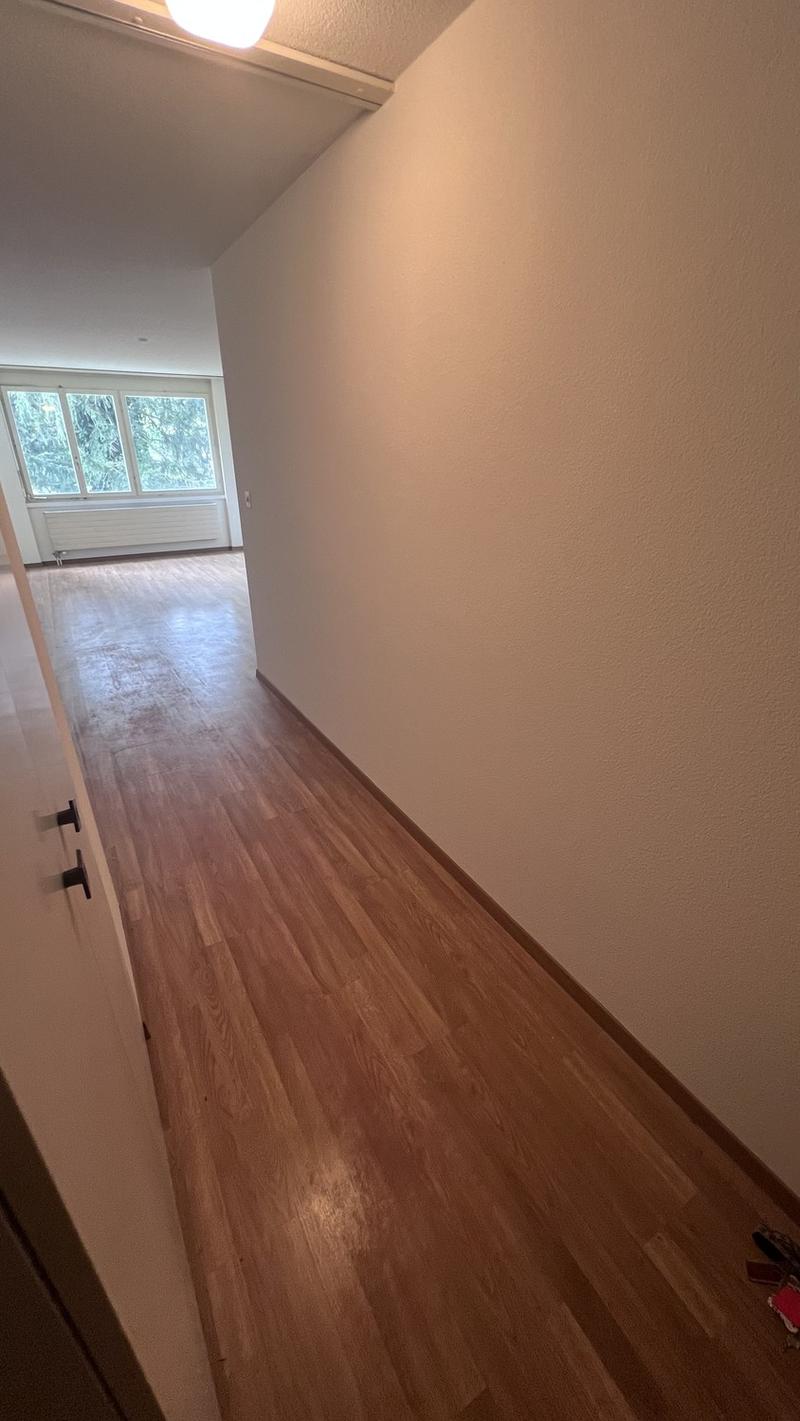 1 1/2 Zimmer Wohbung Nachmieter gesucht (5)