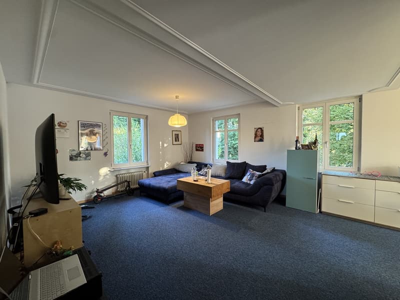 Ruhiges, helles WG-Zimmer (3)