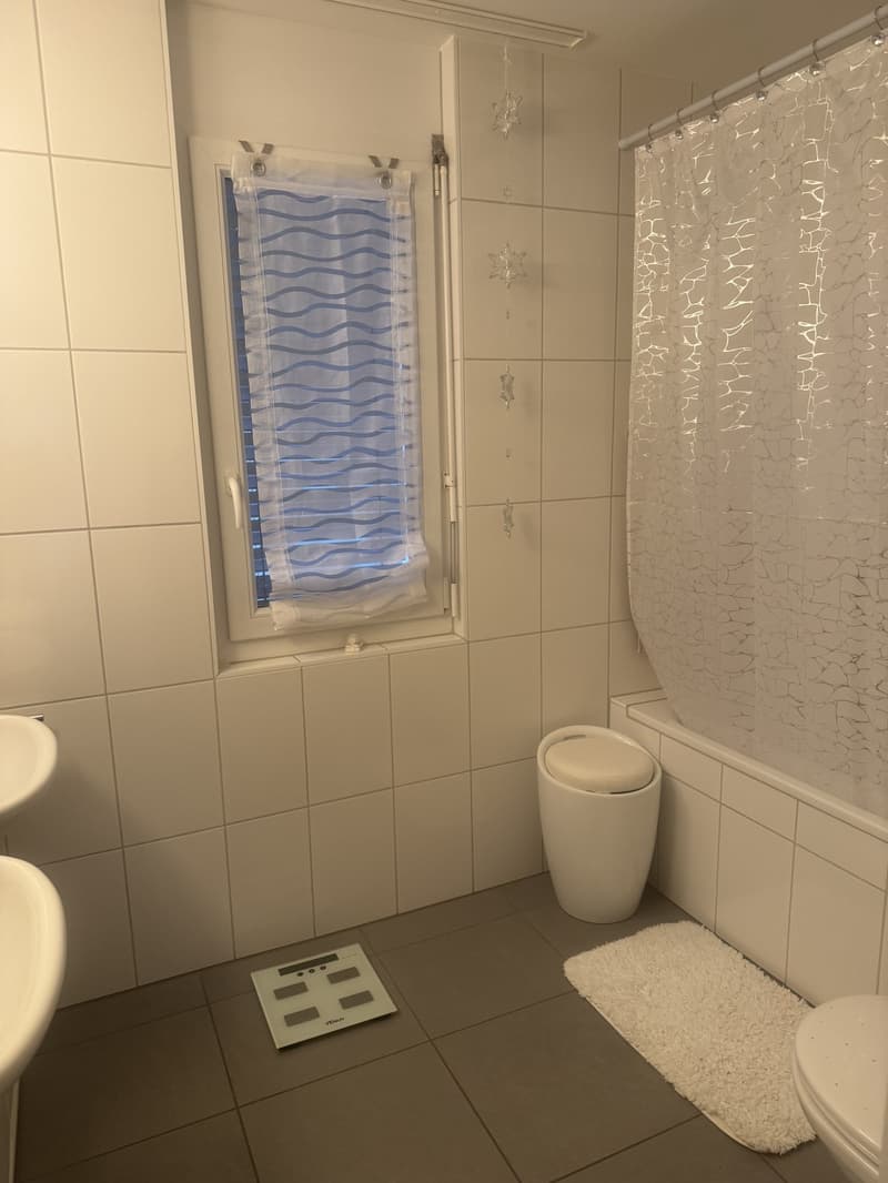 4 ½ Zimmer-Wohnung, 4665 Oftringen (6)