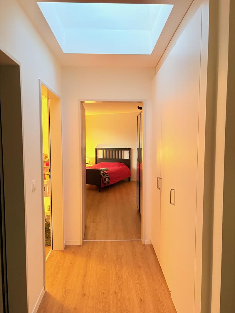 Attikawohnung zur Miete ab sofort (11)