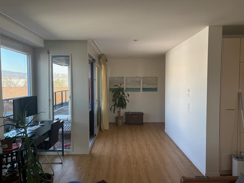 Attikawohnung zur Miete ab sofort (2)
