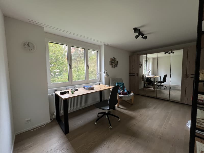 Modern apartment in wollishofen (11)