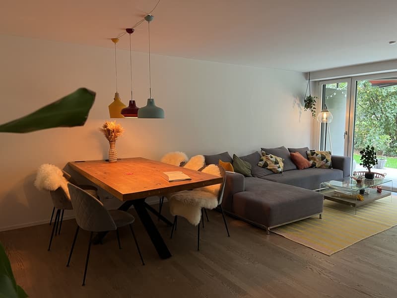 Modern apartment in wollishofen (7)