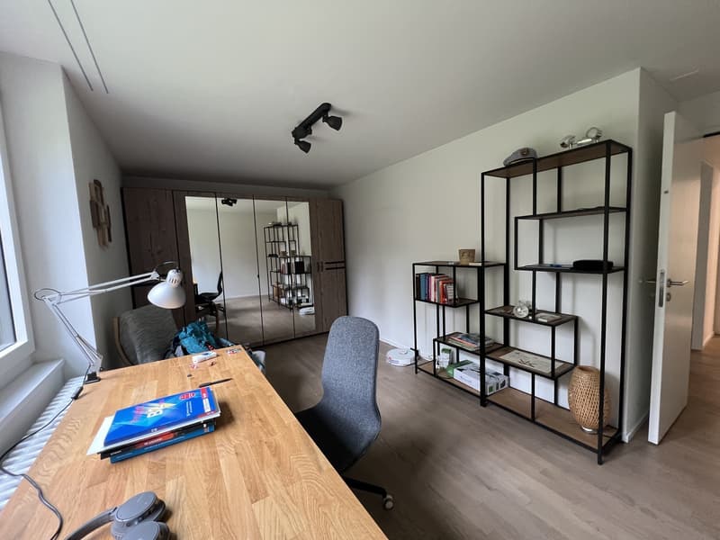 Modern apartment in wollishofen (6)