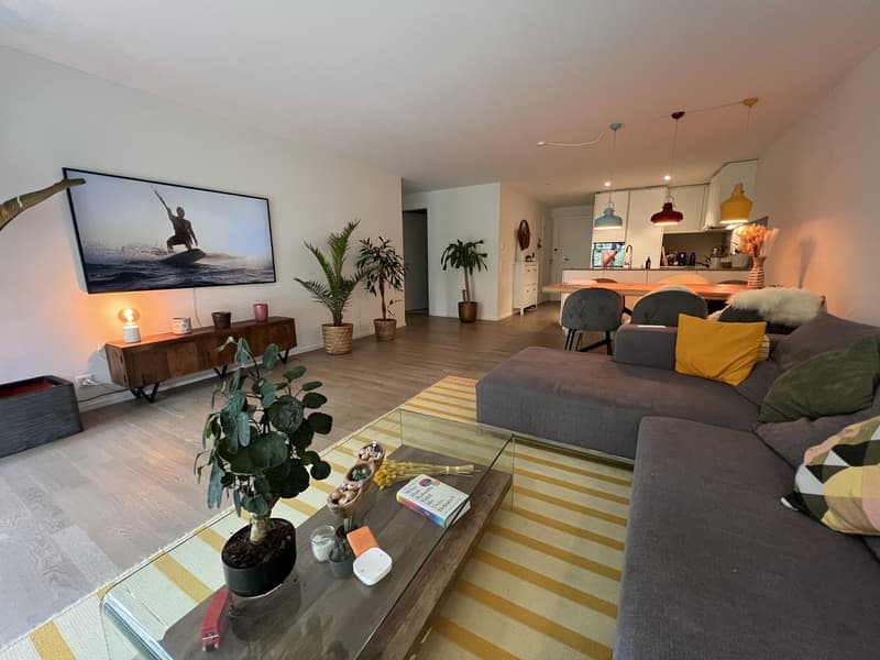 Modern apartment in wollishofen (1)