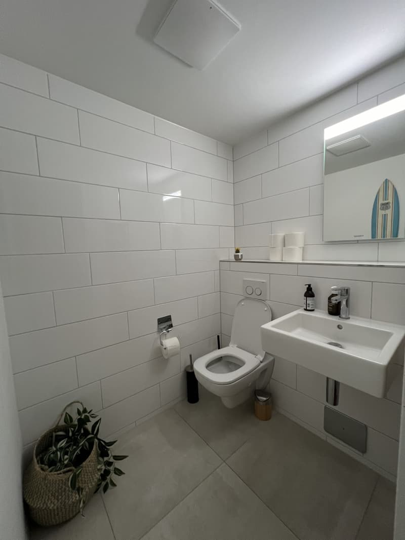 Modern apartment in wollishofen (2)