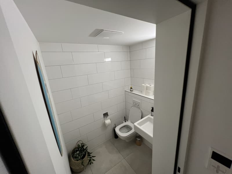 Modern apartment in wollishofen (4)