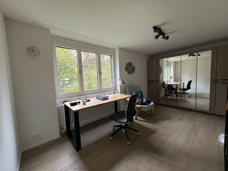 Modern apartment in wollishofen (12)