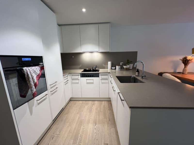 Modern apartment in wollishofen (5)
