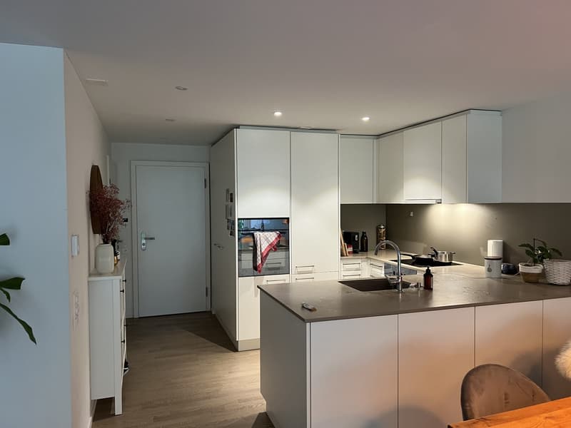Modern apartment in wollishofen (8)