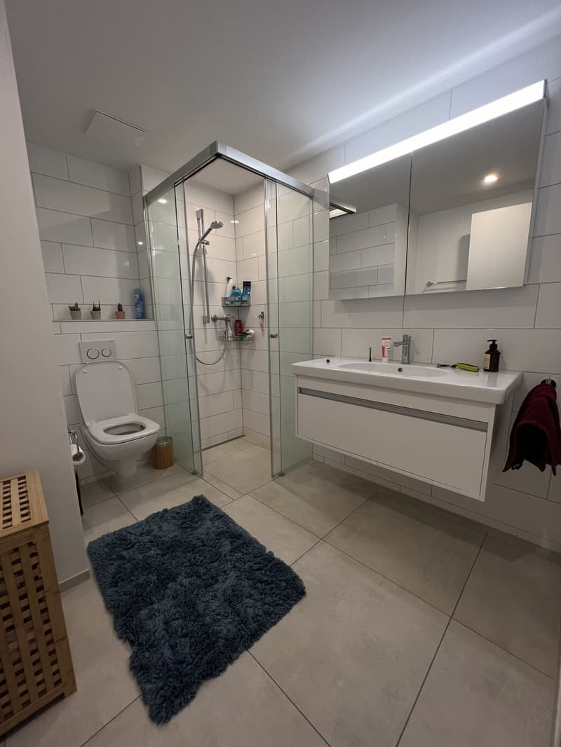 Modern apartment in wollishofen (3)