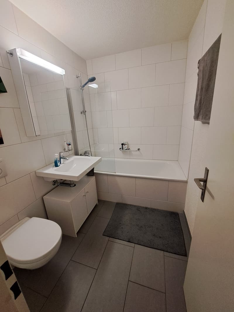 Familienfreundliche 4.5-Zimmer-Erdgeschosswohnung in Wädenswil (9)