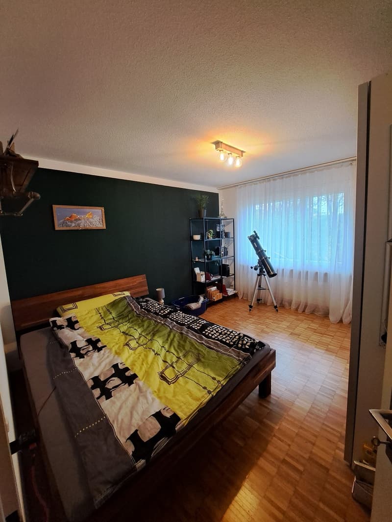 Familienfreundliche 4.5-Zimmer-Erdgeschosswohnung in Wädenswil (6)